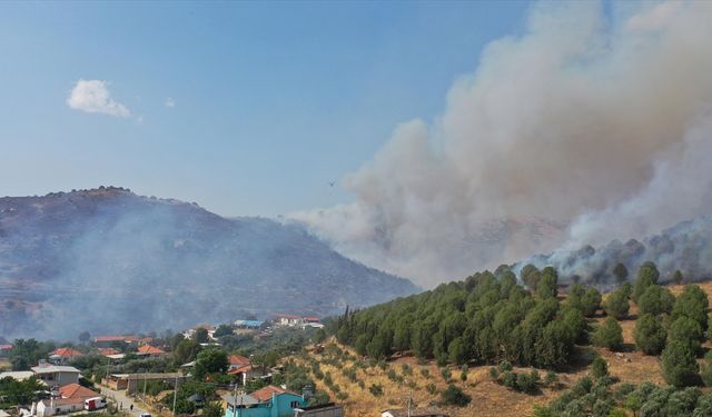 Aydın'da ziraat alanı ve makilikteki yangına müdahale ediliyor