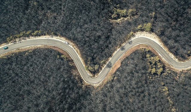 Bilecik'te orman yangınında zarar gören alanlar dronla görüntülendi