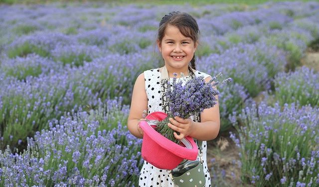 Edirne'de "8. Lavanta Tarla Günleri" başladı