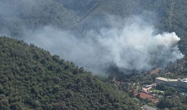 İzmir'in 2 ilçesinde çıkan yangınlar kontrol altına alındı