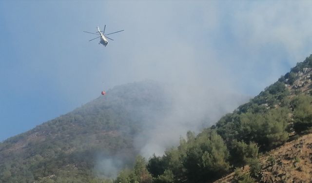 Kahramanmaraş'ın Türkoğlu ilçesindeki orman yangını kontrol altına alındı