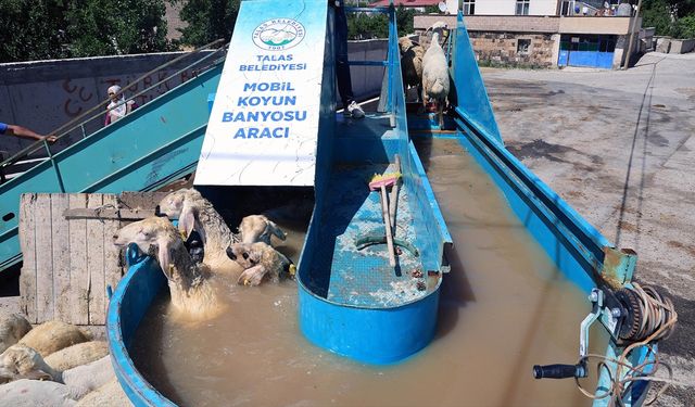 Kayseri'de küçükbaş hayvanlar keneye karşı "mobil banyo" ile dezenfekte ediliyor
