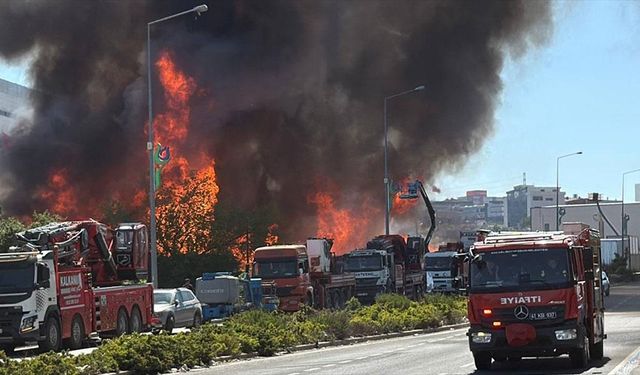 Kocaeli'de palet fabrikasında çıkan yangına müdahale ediliyor