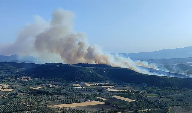 Manisa'da çıkan orman yangını kontrol altına alındı