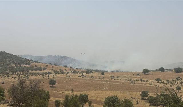 Mardin'de ormanlık alanda çıkan yangına müdahale ediliyor