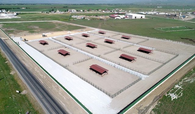 Muş'ta Hayvan Barınağı ve Doğal Yaşam Alanı inşaatında son aşamaya gelindi