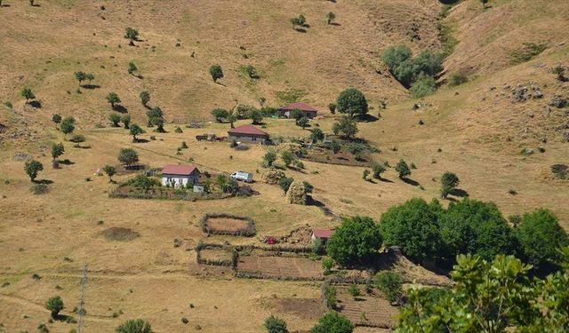 Muş'ta huzur ortamının sağlandığı Şenyayla bölgesine 100 hane dönüş yaptı