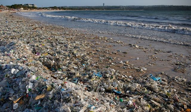 Plastik atıklar deniz canlılarını olumsuz etkiliyor