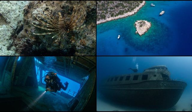 Renkli su altı dünyasının merkezi: Kaş