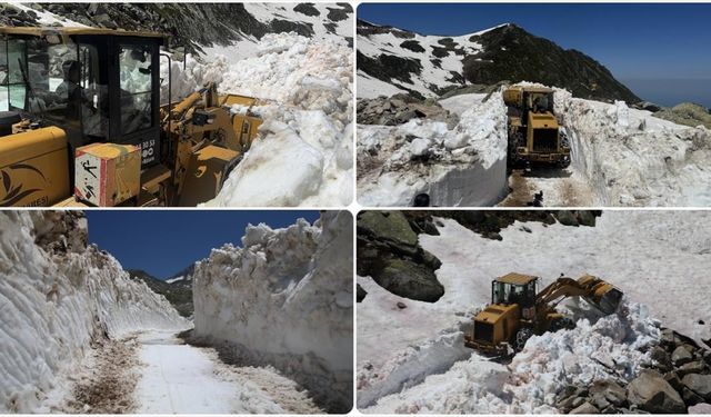 Rize'nin yüksek kesimlerinde karla mücadele sürüyor