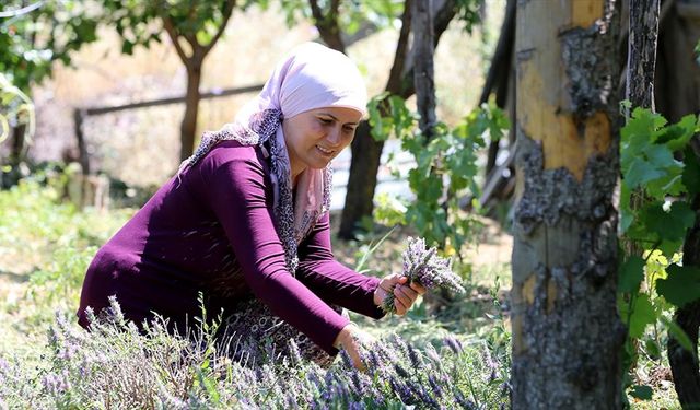 "Şalvarlı" belediye başkanı hem evini hem ilçesini kalkındırıyor
