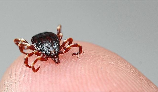 Sivas'ta KKKA hastalığı şüphesiyle tedavi gören kişi öldü