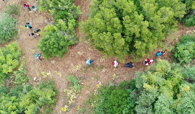 Tarihi ve doğal güzellikleri barındıran "Anemon Yolu" doğaseverler için hazır