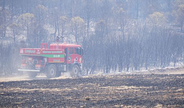 Tekirdağ'da çıkan orman yangınına havadan ve karadan müdahale ediliyor