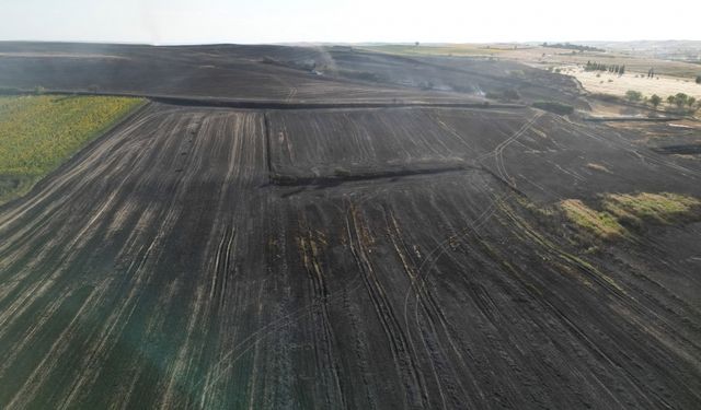 Tekirdağ'da çıkan yangında 1500 dekar tarım arazisi zarar gördü
