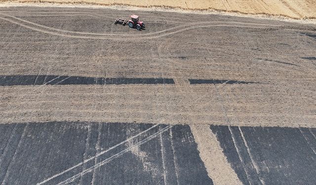 Trakya'da son iki haftadaki yangınlarda 2 bin 750 dekar ekili alan zarar gördü