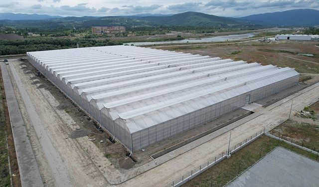 Zonguldak'taki sera organize tarım bölgesi ülke ekonomisine yıllık 750 milyon lira katkı verecek