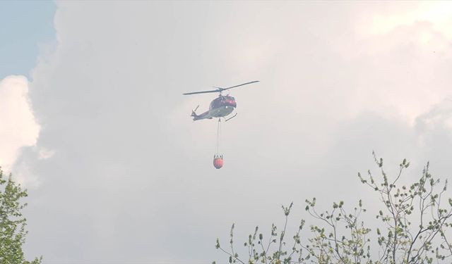 ABD'de Büyük Kanyon Milli Parkı'nda çıkan orman yangını bir günde yaklaşık 20 kat büyüdü