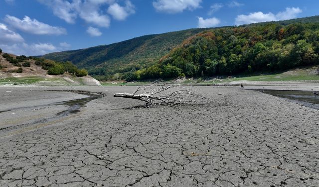 Batı Karadeniz'de kuraklık Hasanlar Barajı'ndaki su seviyesini düşürdü