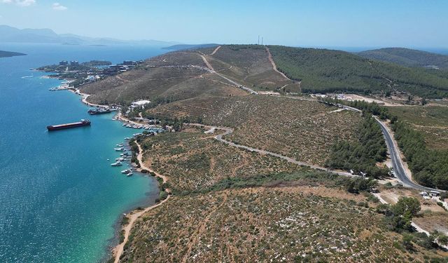 Bodrum Güvercinlik'te 4 yıl önce yanan alanlar dikilen fidanlarla yeşeriyor