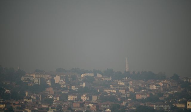 Bulgaristan'daki orman yangınının koku ve dumanı 50 kilometre uzaklıktaki Edirne'ye ulaştı