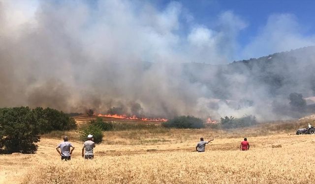 Bursa'nın Yenişehir ilçesinde çıkan orman yangını kontrol altına alındı