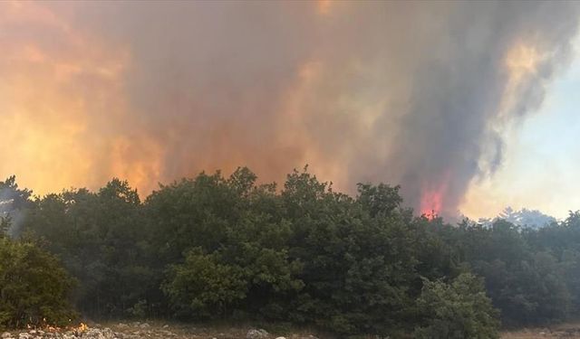 Eskişehir'de çıkan orman yangını kontrol altına alındı