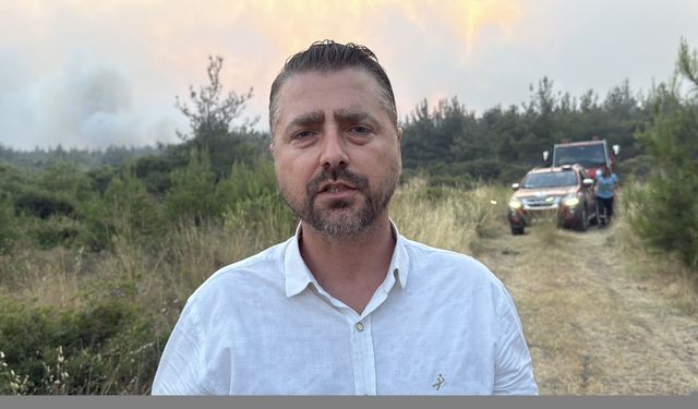 GÜNCELLEME 4 - Tekirdağ'da anız yangını ormana sıçradı