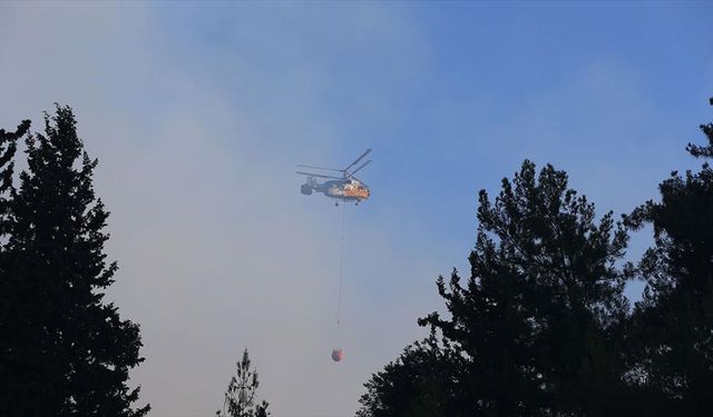 Hatay Dörtyol'da dün çıkan orman yangınına müdahale sürüyor