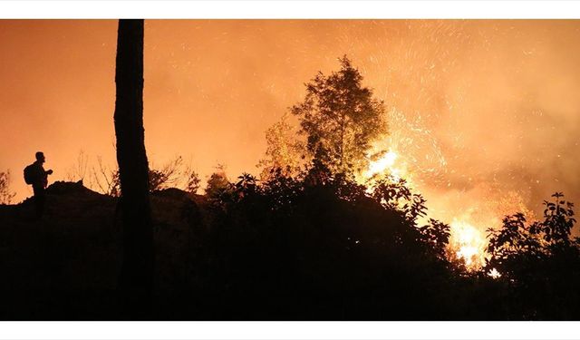 Hatay Valiliğinden Suriye'deki yangına ilişkin açıklama