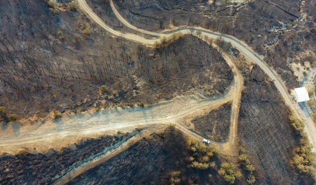 Hatay'da devam eden orman yangınında zarar gören alanlar havadan görüntülendi