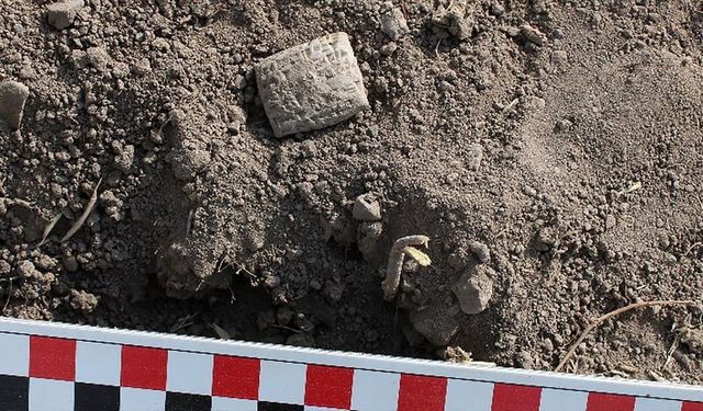 Hitit yerleşim yeri Kayalıpınar'da "kuş kehanet metni" bulundu