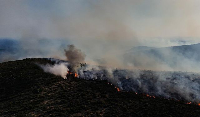 İzmir'de orman yangınlarına müdahale sürüyor