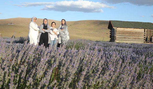 Kahramanmaraş'ın "mor tarlası" kadınlara emanet