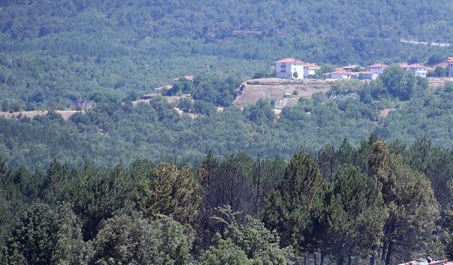 Kastamonu için yüksek sıcaklık ve orman yangını uyarısı