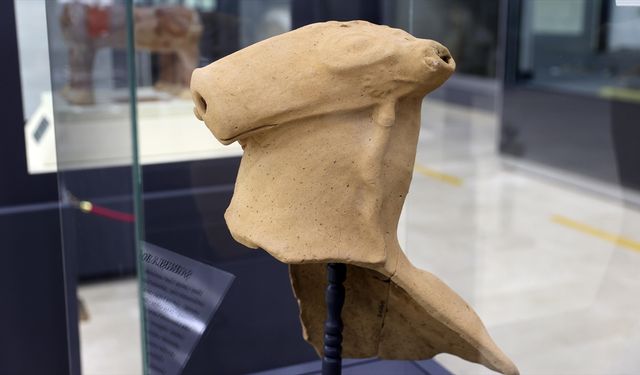 Kepçeye takılan Hitit dönemine ait boğa başlı testi parçası müzede sergileniyor