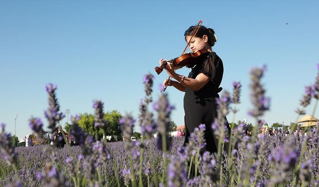 Konya'da "Karatay Lavanta Festivali" düzenlendi