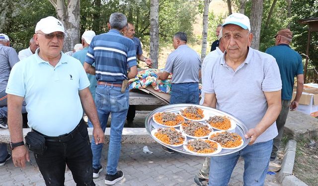 Memleket özlemlerini "Gurbetçiler Pilav Festivali" ile dindiriyorlar