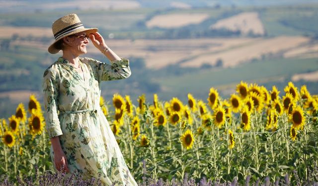 Tekirdağ'da kanola, ayçiçeği ve lavanta tarlaları kentin turizmine renk kattı