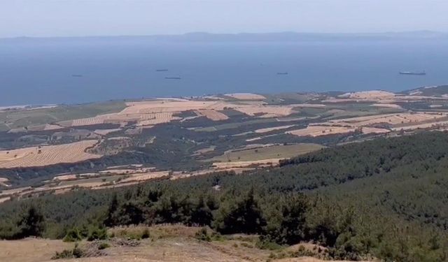 Tekirdağ'da orman yangınının neden olduğu tahribat havadan görüntülendi