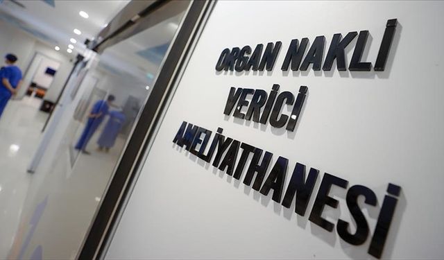 Türkiye "canlı vericili nakiller"de dünyada böbrekte ilk, karaciğerde ikinci sırada