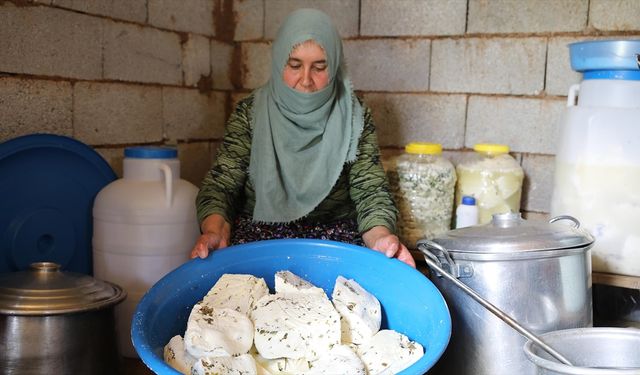 Vanlı besiciler 2 bin 700 rakımdaki yaylada otlu peynir üretiyor