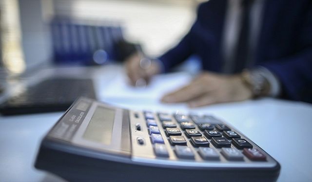 Vergi müfettişleri yılın ilk yarısında 225,5 milyar lirayla tarihi düzeyde matrah farkını ortaya çıkardı