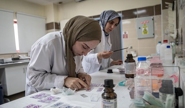 Atatürk Üniversitesinden bir akademisyen, pestisitin Alzheimer nedeni olup olmadığını araştırdı