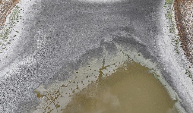 Edirne'deki Demirhanlı Göleti'nin suyu kuraklık nedeniyle tükenmek üzere