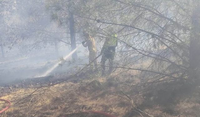 Gaziantep'te çıkan orman yangını kontrol altına alındı