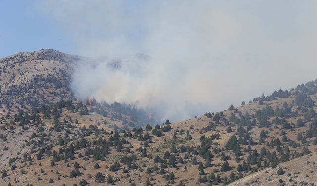 GÜNCELLEME - Kahramanmaraş’ta çıkan orman yangınına müdahale sürüyor