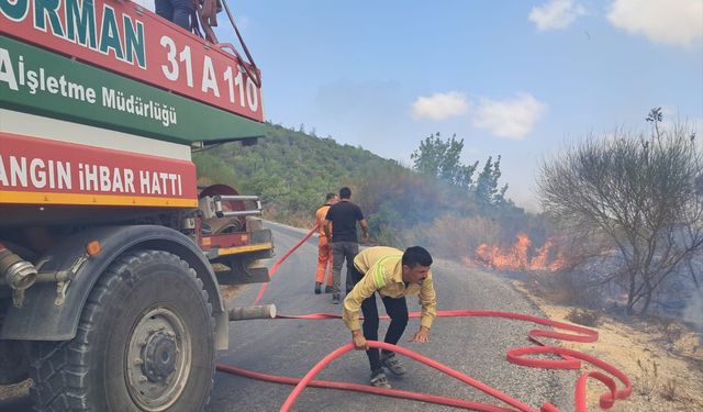Hatay Yayladağı'nda çıkan orman yangını kontrol altına alındı
