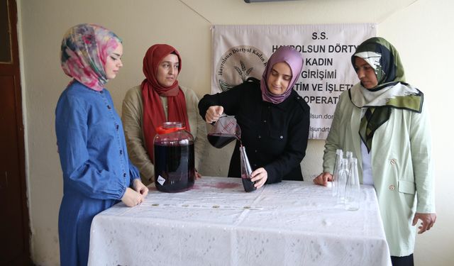 Hatay'da kooperatifleşen kadınlar sirke satarak gelir elde ediyor