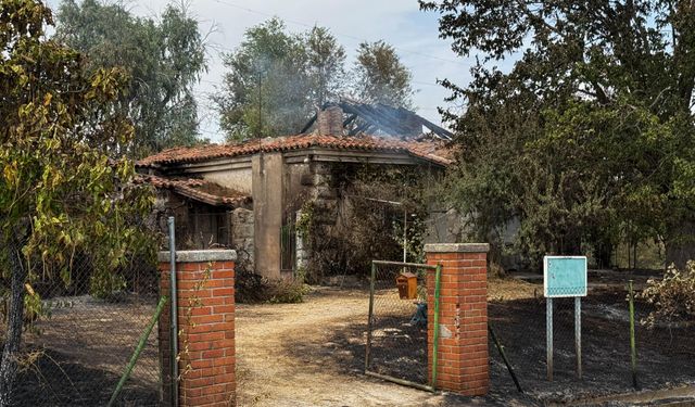 İspanya'da orman yangınları sebebiyle 10 binden fazla kişi tahliye edildi